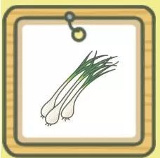 青蛙旅行 蜗牛吃什么