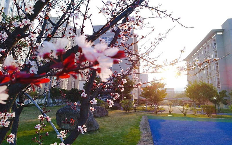 闽江师范高等专科学校(闽江师范高等专科学校介绍)