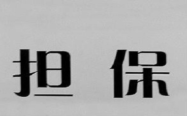 担保种类有哪些