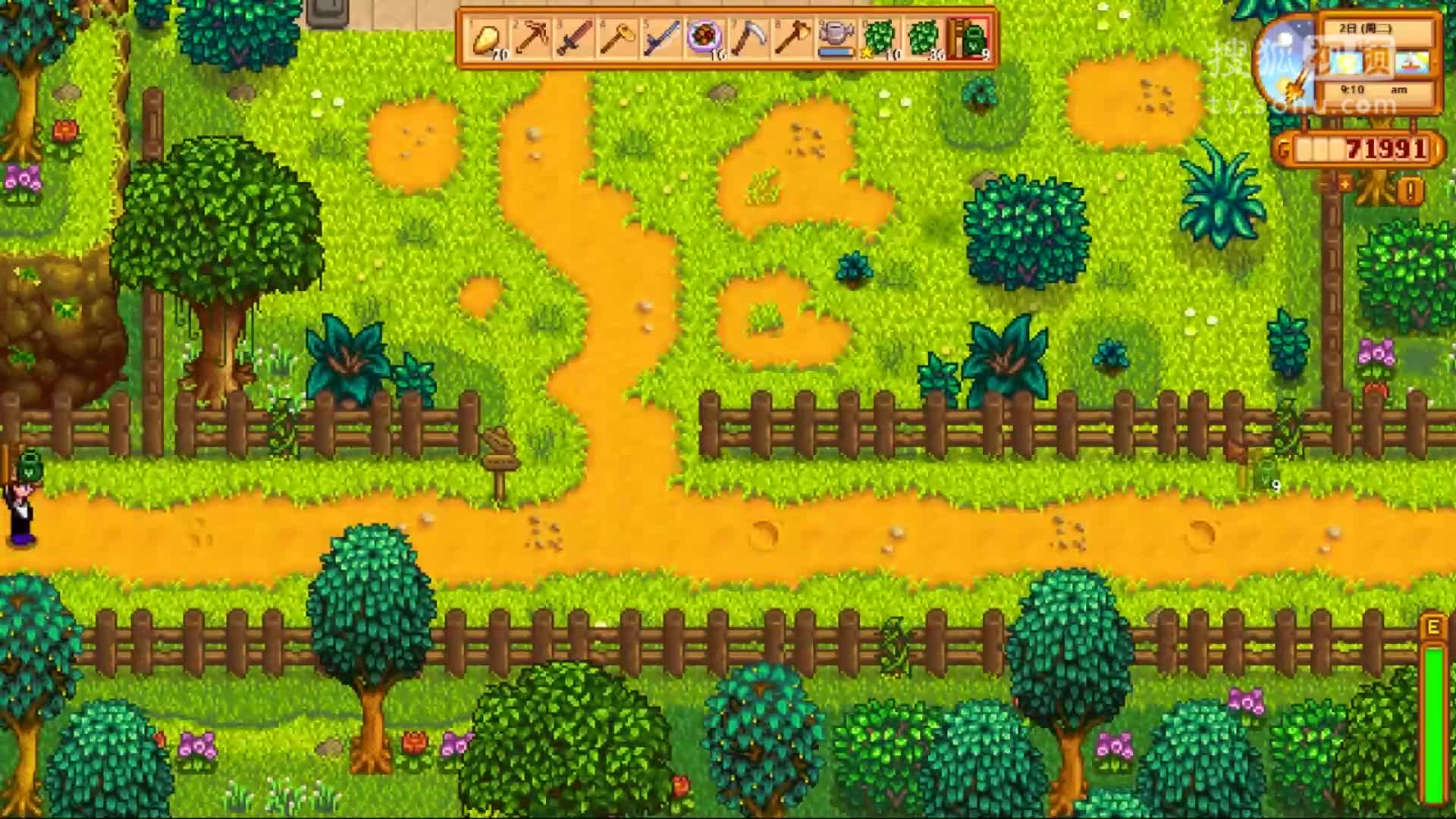 星露谷物语stardewvalley