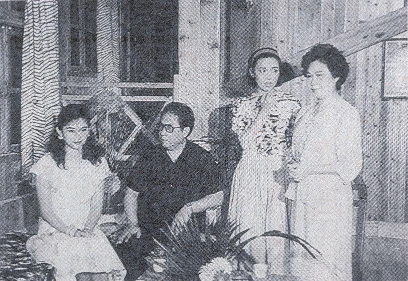 电视剧《含羞草》全集BD高清版片源,可在线播