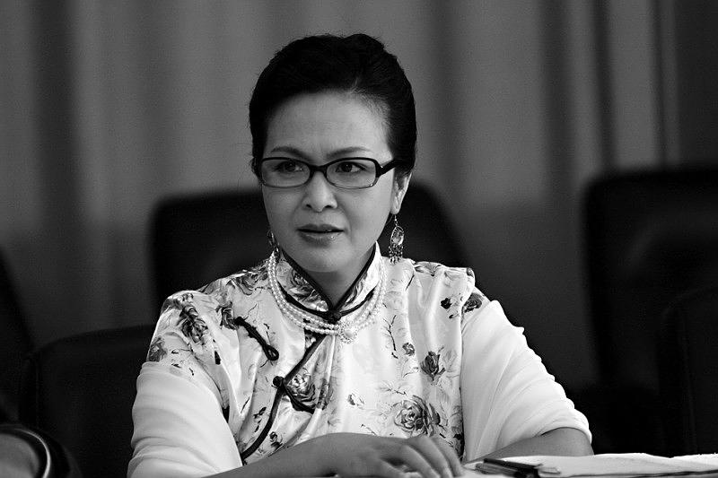 杂技皇后夏菊花