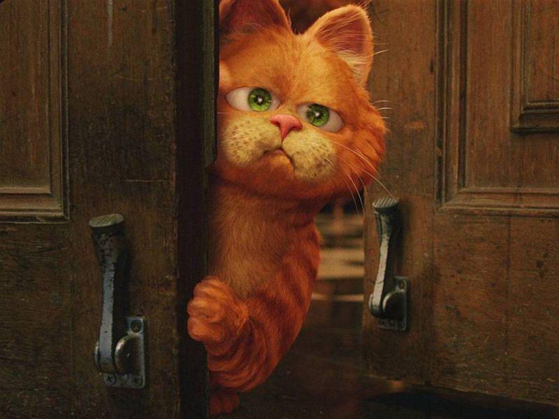 《加菲猫》全集-高清电影完整版-在线观看