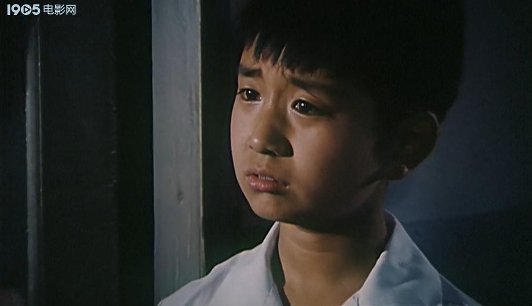 《狼犬历险记》全集-高清电影完整版-在线观看