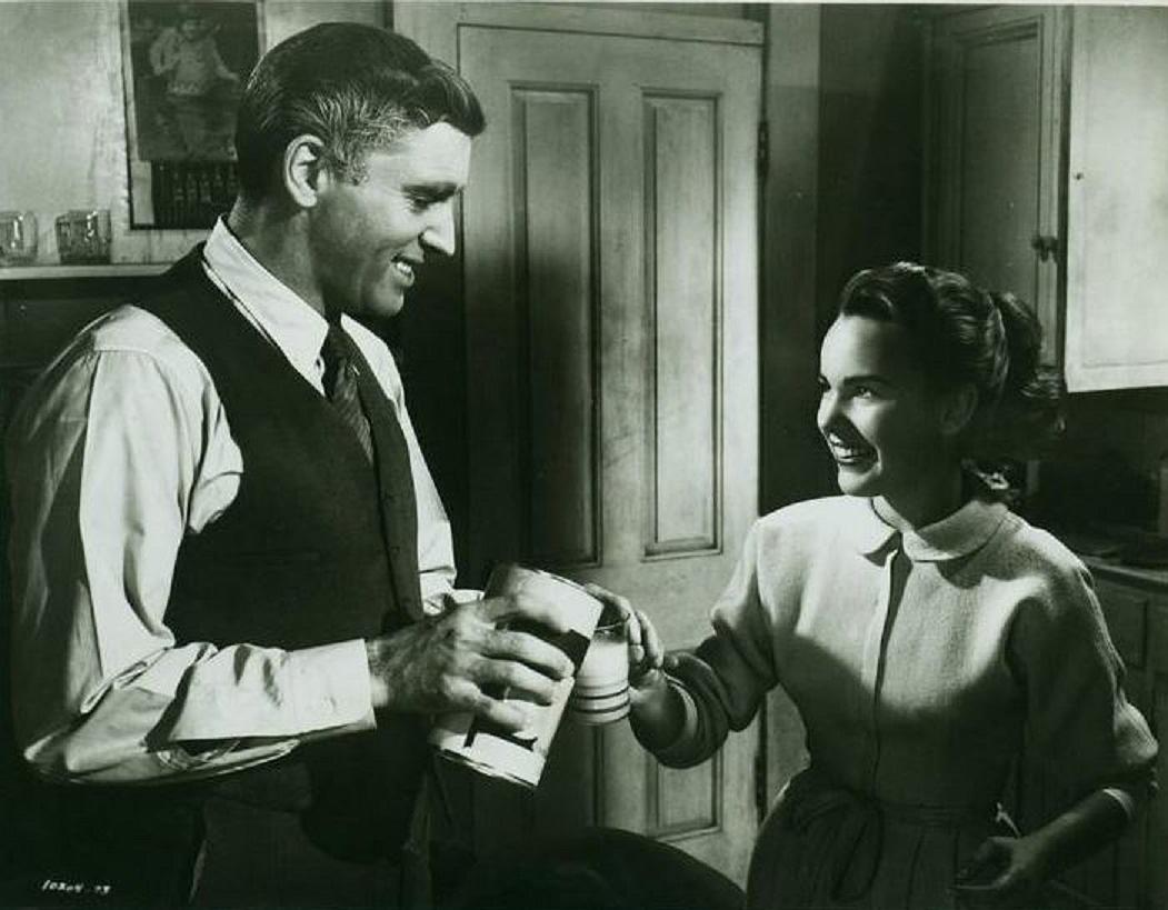 电影《回来吧,小希巴》BD高清版片源,可在线播