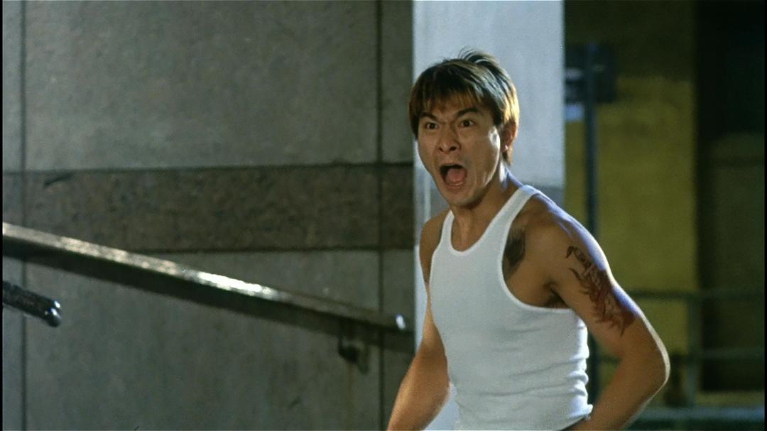 《龙在江湖》全集-高清电影完整版-在线观看-搜狗影视