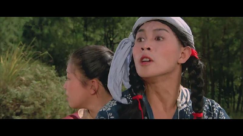 《南北少林》全集-高清电影完整版-在线观看