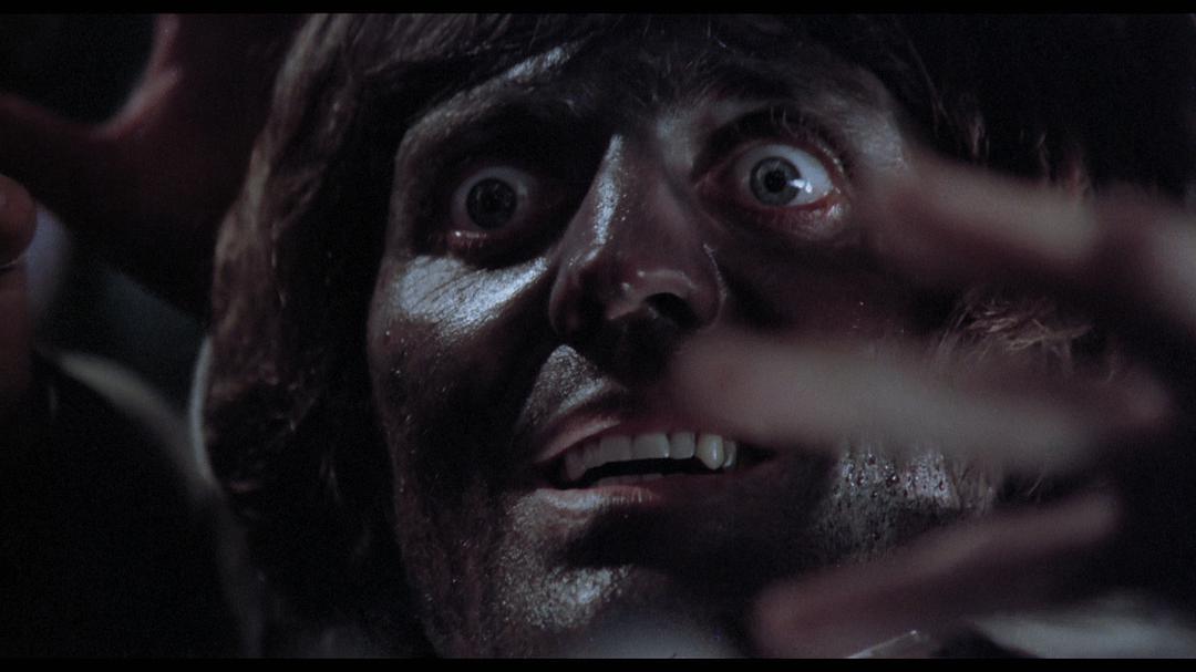 《地狱活死人》-高清电影-在线观看