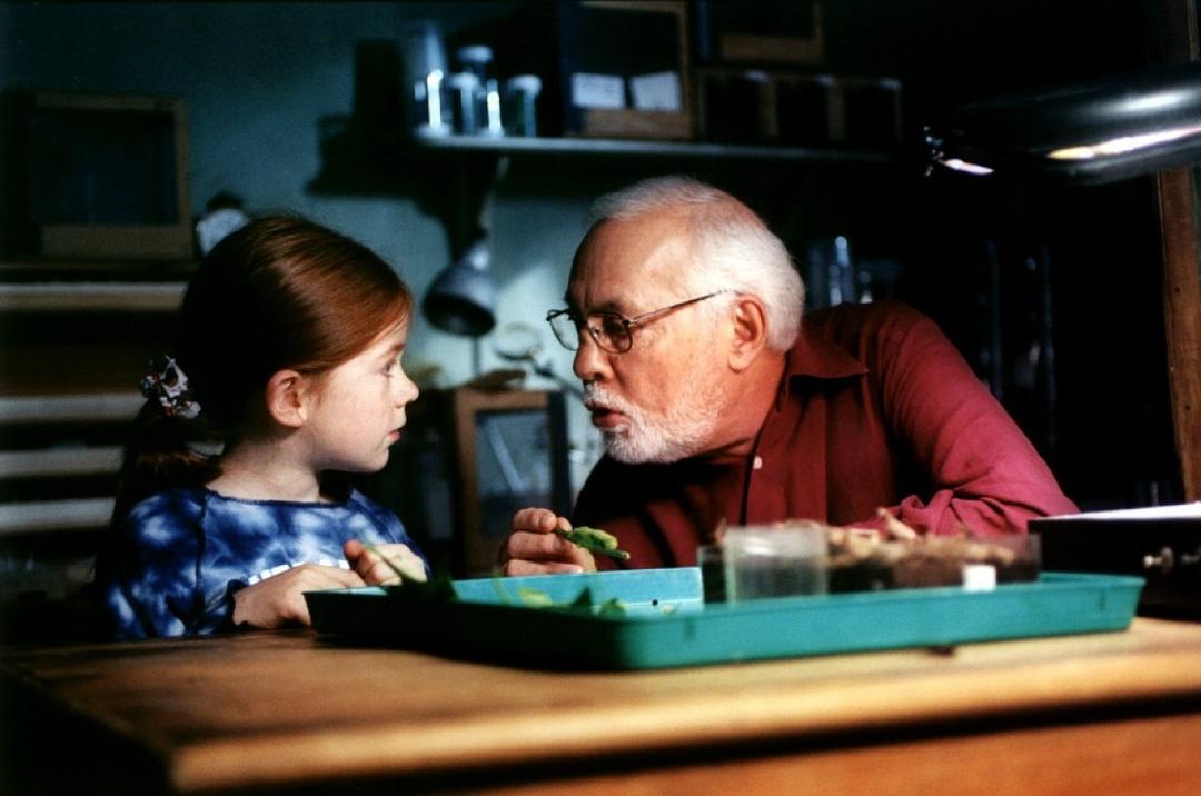 《蝴蝶》-高清电影-完整版在线观看