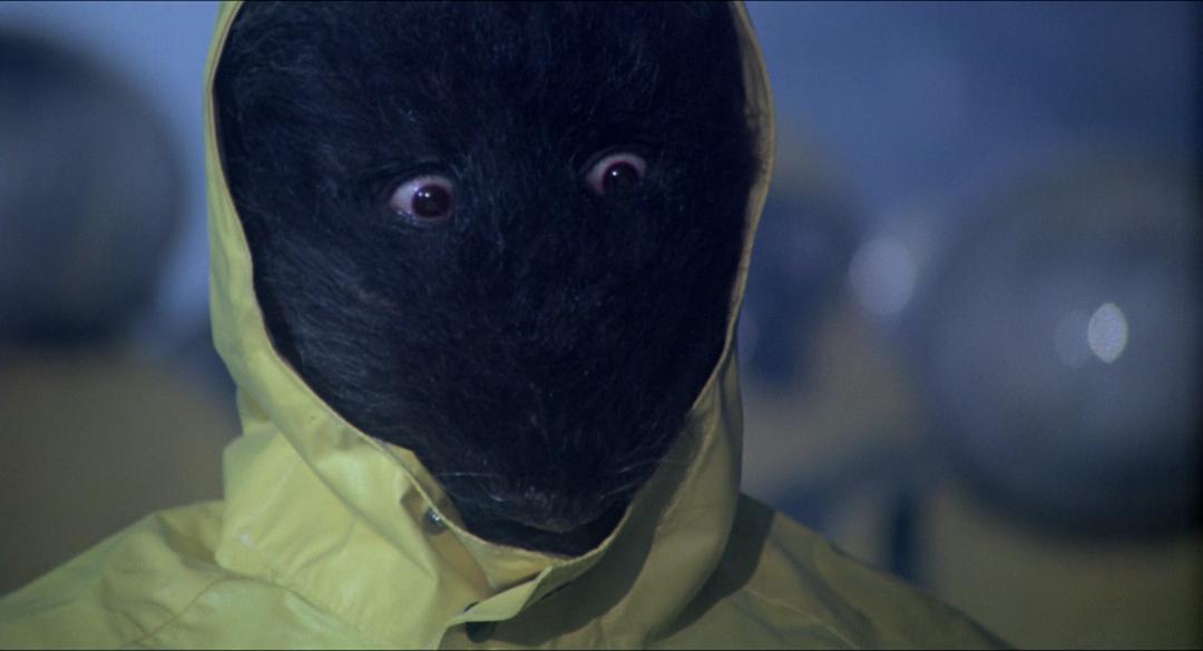 《人肉鼠餐》-高清电影-在线观看