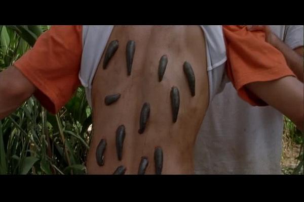 《狂蟒之灾2:血兰花 》全集-高清电影完整版-在线观看