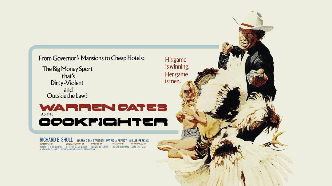 《斗鸡人》-高清电影-在线观看