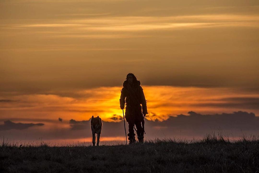 阿尔法狼伴归途