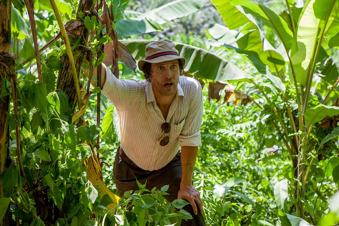 《金矿(2016)》全集-高清电影完整版-在线观看-搜狗影视