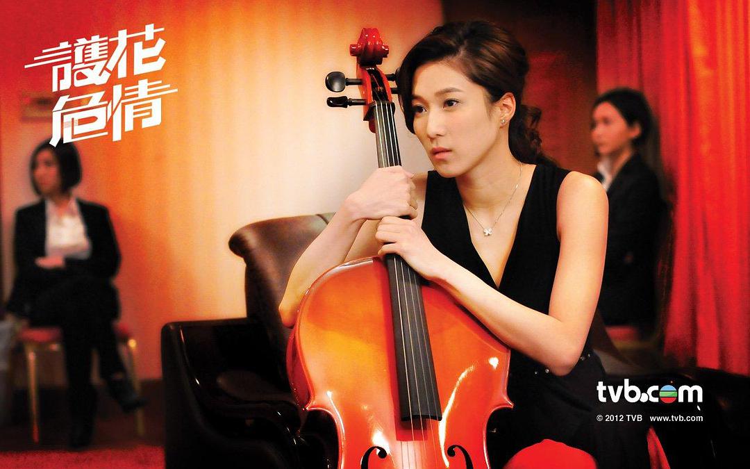 《护花危情》全集-电视剧-在线观看