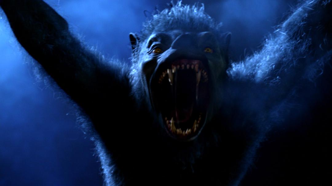 《狼人:身边野兽》-高清电影-在线观看