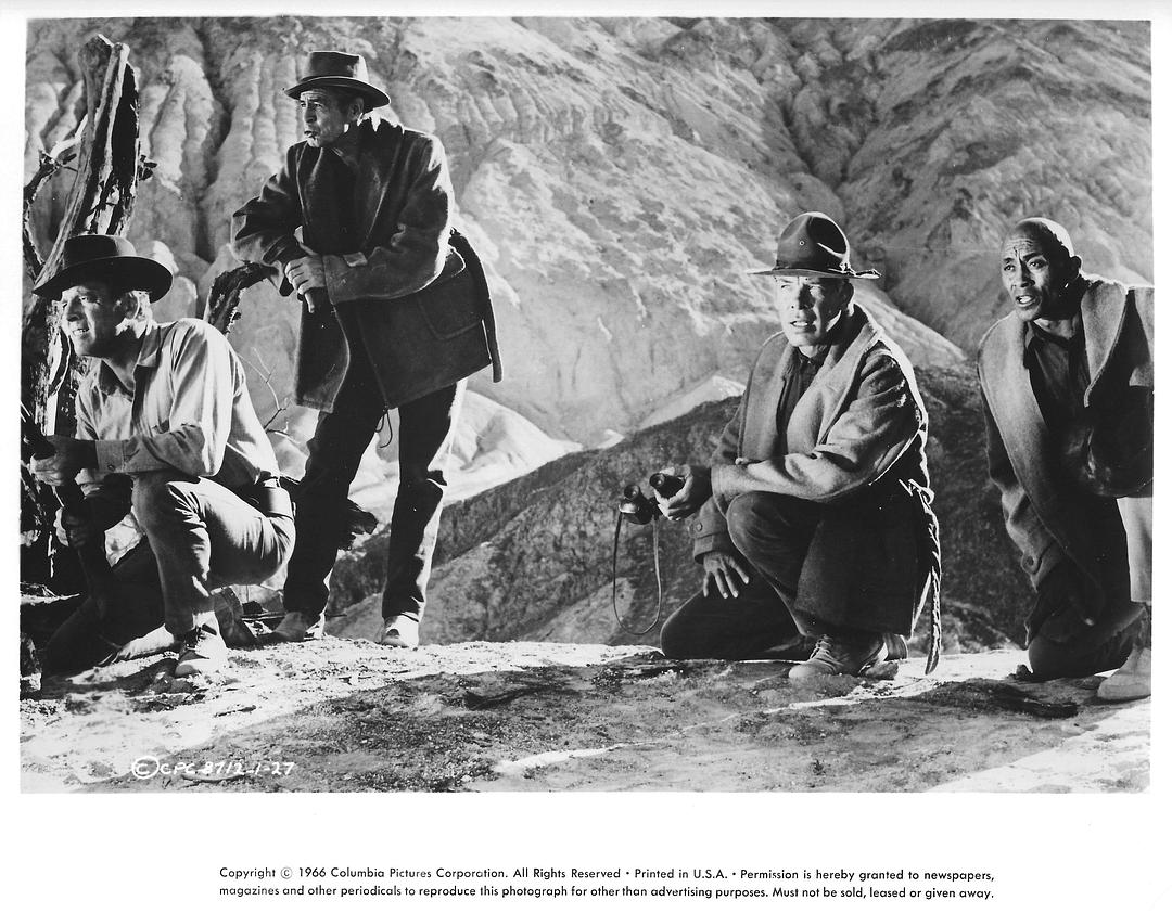 《职业大贼》全集-高清电影完整版-在线观看