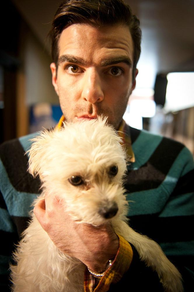 《狗咬狗(2012)》-高清电影-在线观看