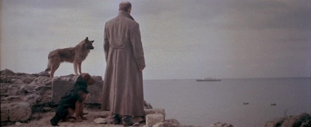 《溃逃》-高清电影-在线观看