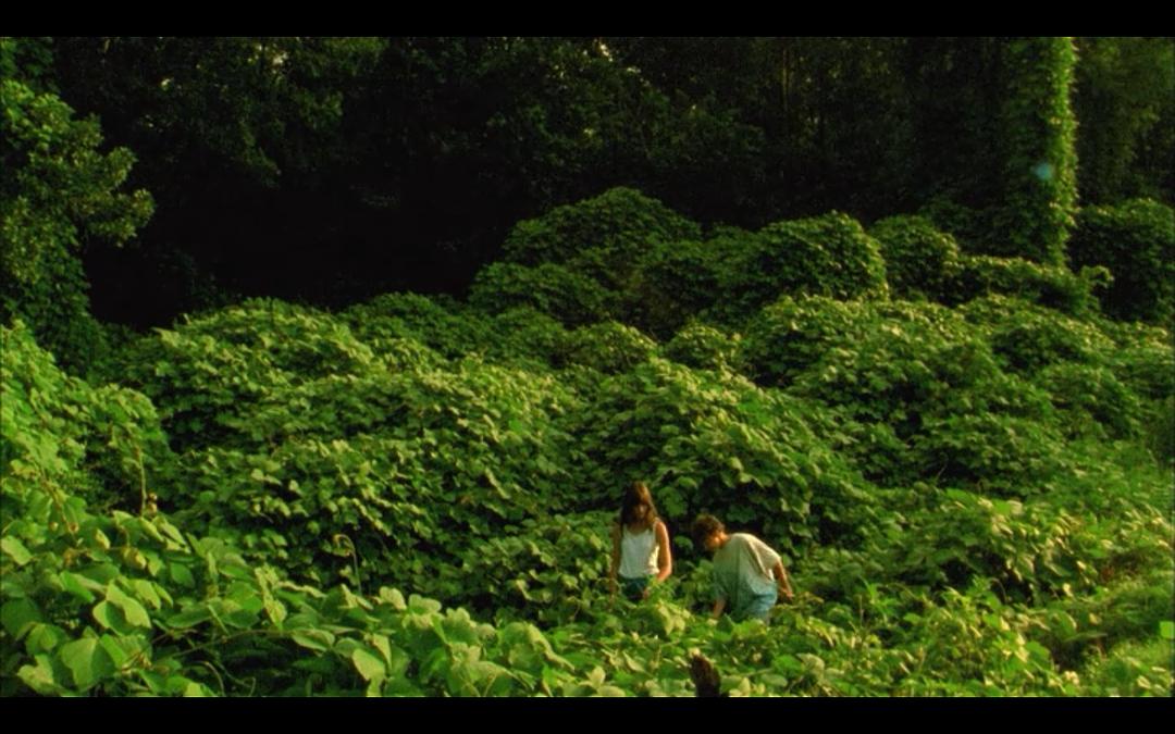 电影《jess   moss》bd高清版片源,可在线播放《jess   moss》全集