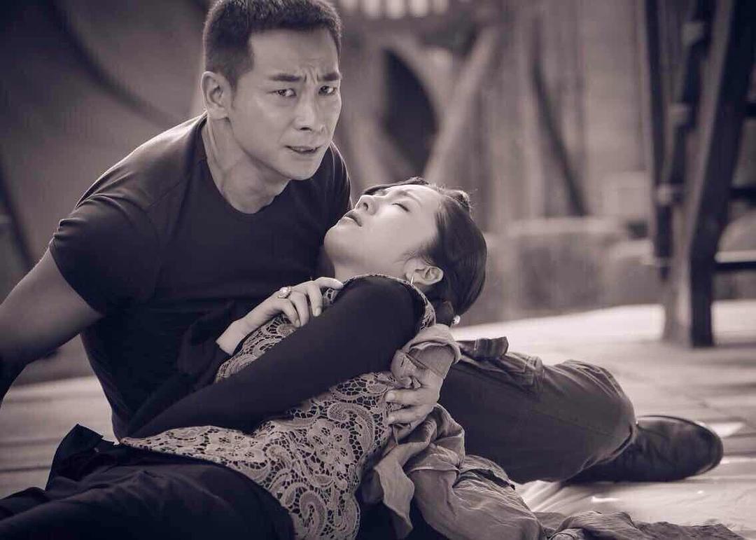 《英雄不流泪》全集-电视剧-在线观看