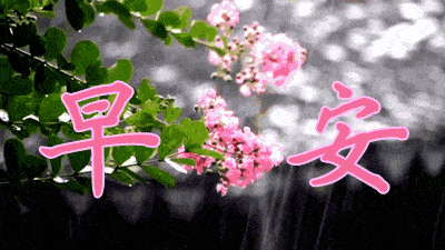 早上好问候祝福动态表情图片鼠年新年问候祝福语温馨句子