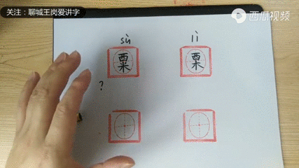 栗怎么读 搜狗搜索
