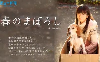 春之幻 全集 电视剧 免费在线观看