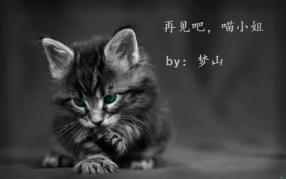 中国好歌曲第一季 综艺 免费在线观看