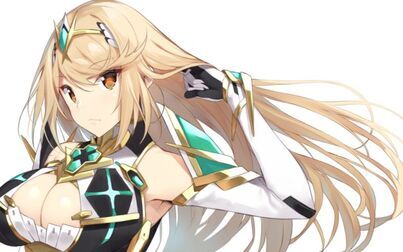 异度之刃2异度神剑2花的专属定制mastercpu战斗吟游诗人位