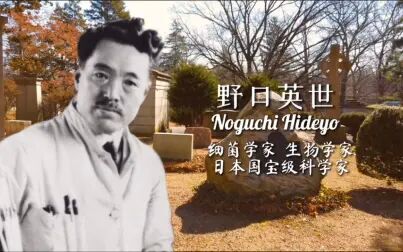 日本野口英世 搜狗搜索