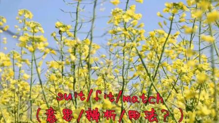 Suit什么意思 搜狗搜索