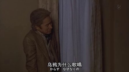 球形的荒野 全集 电视剧 免费在线观看