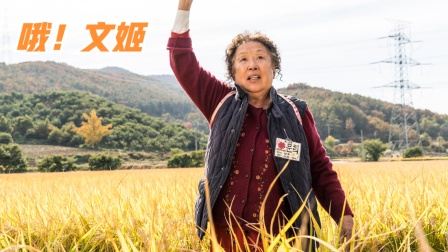 《家门》全集-电视剧-免费在线观看