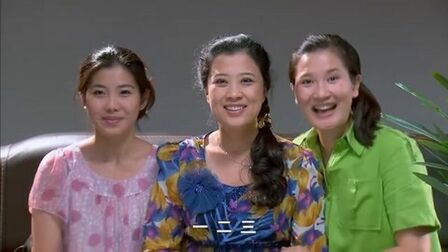 《女人进城》全集-电视剧-免费在线观看