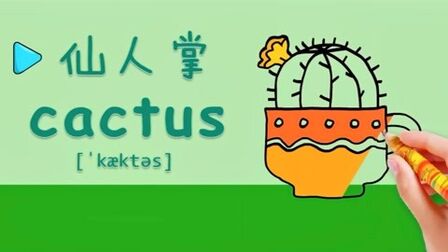 仙人掌的英文是啥 搜狗搜索