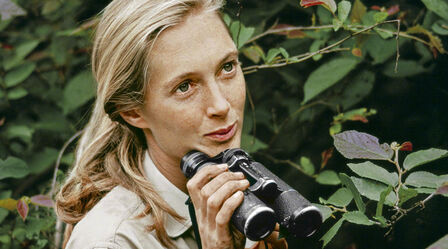 推荐一部高分纪录片珍jane2017珍古道尔世界上拥有