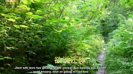 书博山道中壁 搜狗搜索