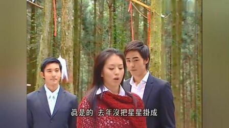 绿光森林 全集 电视剧 免费在线观看
