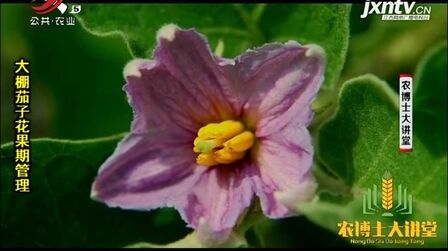 大豆是自花授粉吗 搜狗搜索