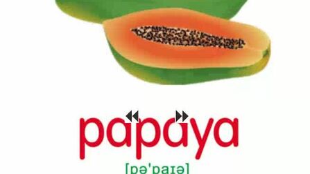 木瓜英文pawpaw 搜狗搜索