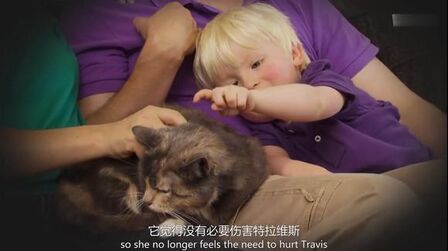 家有恶猫第二季 全集 电视剧 免费在线观看