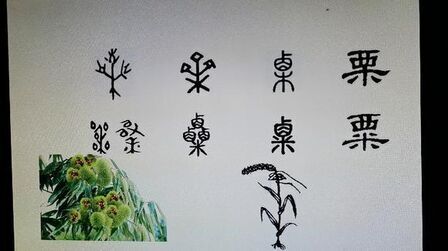 粟和栗汉字的区别 搜狗搜索