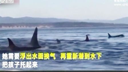 漂流死体 高清电影 完整版在线观看