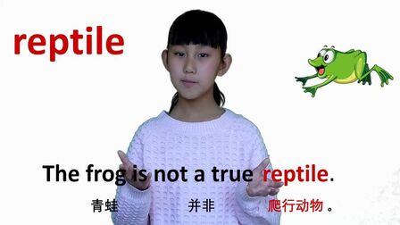 爬行动物的种类英语 搜狗搜索