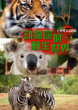 动物园的野生世界第二季