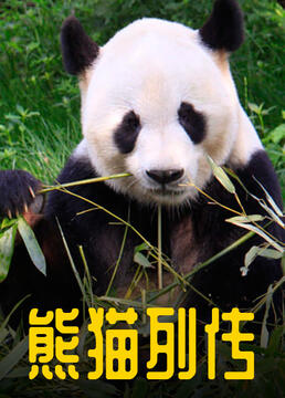 熊猫列传剧照