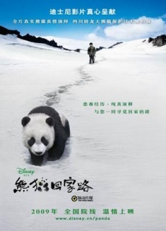 熊猫回家路剧照
