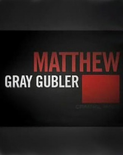 Meet Matthew Gray Gubler