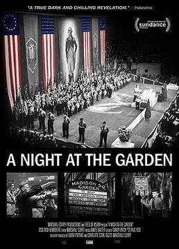 美国纳粹之夜剧照